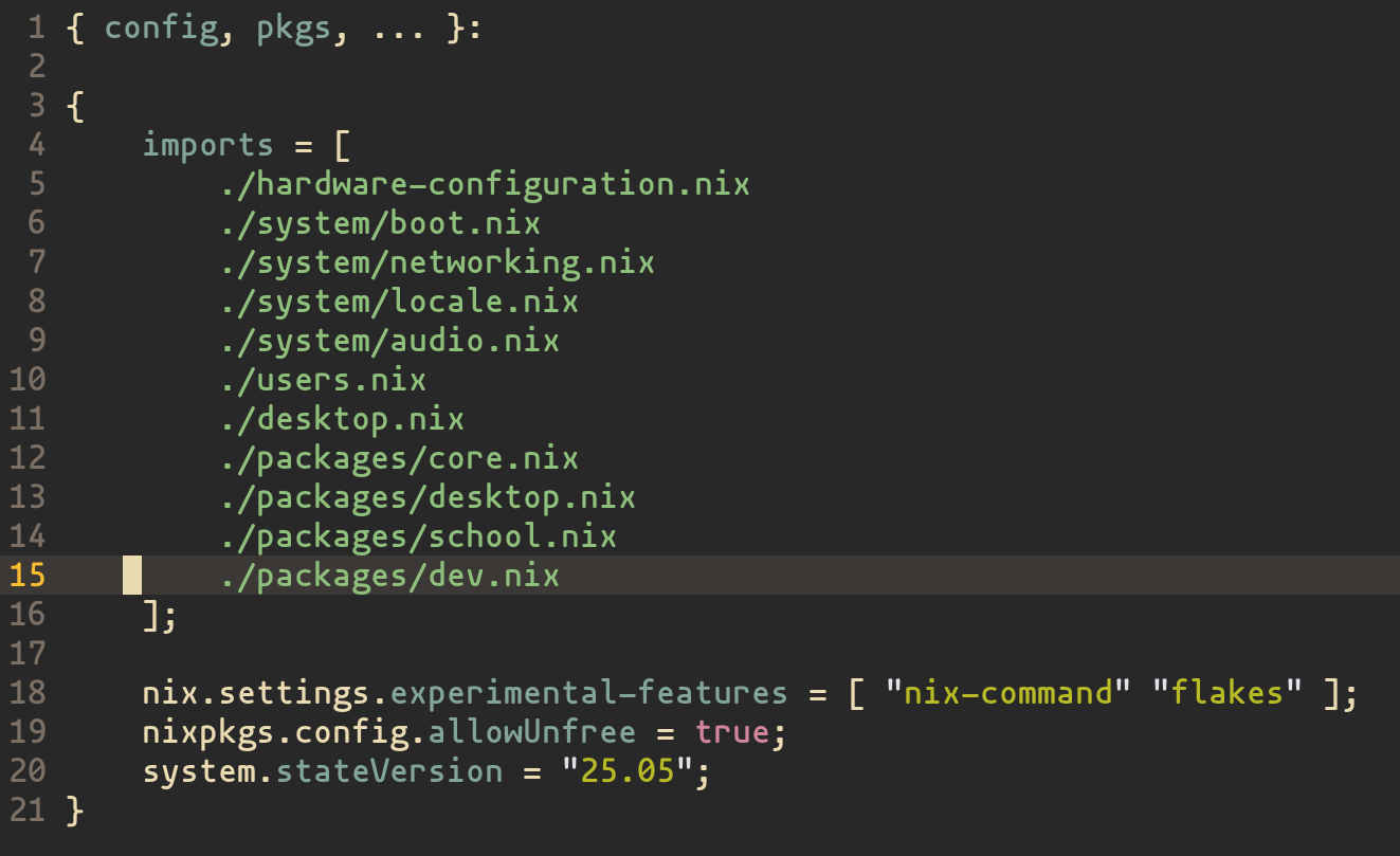 daily-driving-nixos/setup.webp